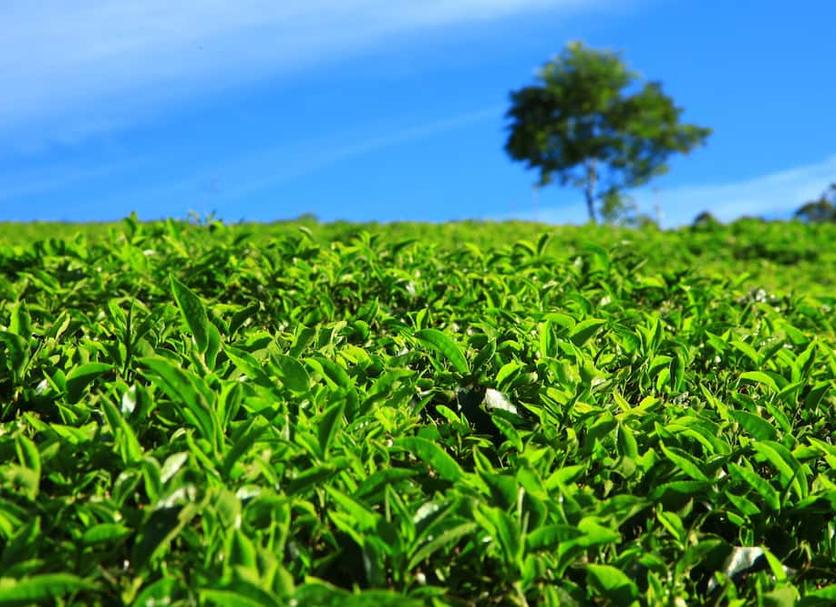 Pemandangan luar Foto