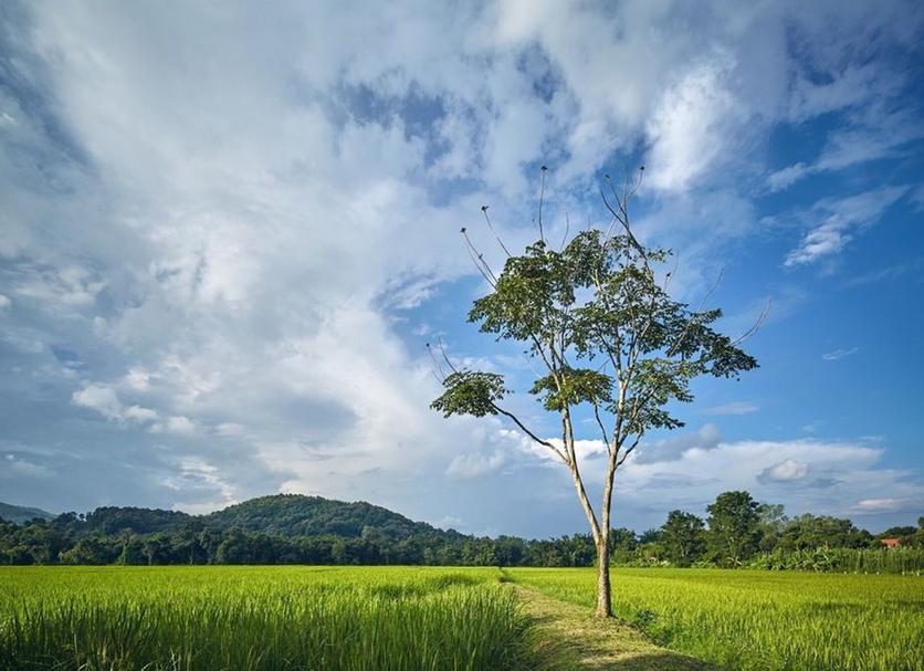 Pemandangan luar Foto