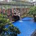 Kolam