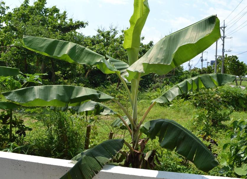 Pemandangan luar Foto