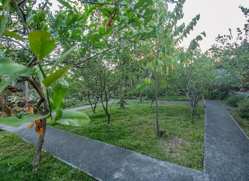 Pemandangan luar Foto