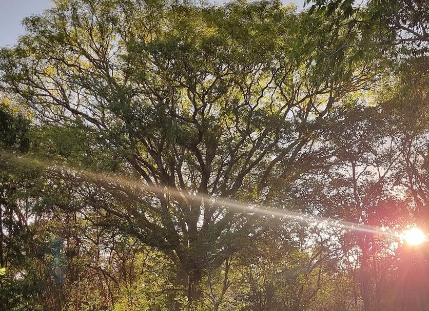 Pemandangan luar Foto