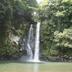 Pemandangan luar