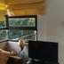 Prasarana kamar