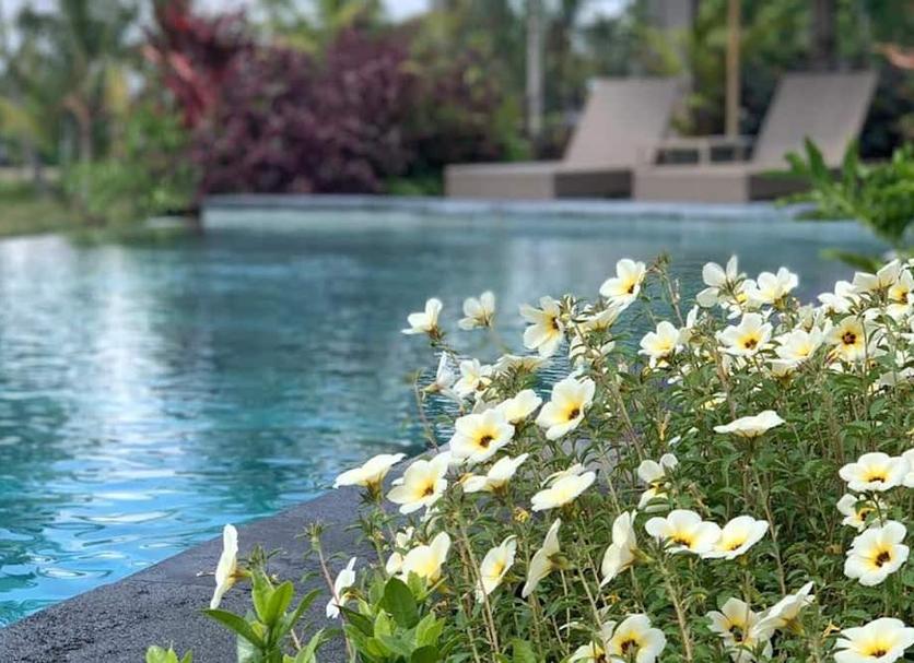 Kolam Foto