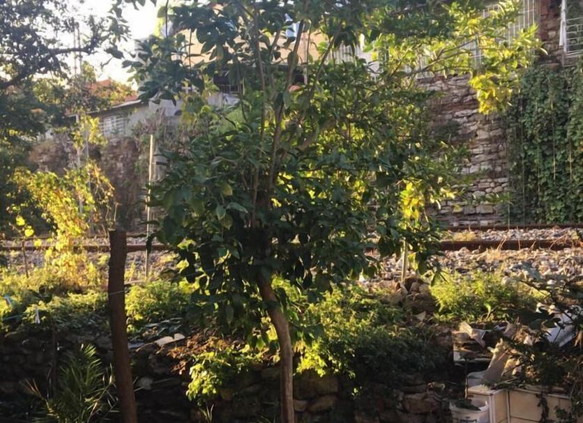 Pemandangan luar Foto