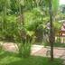 Pemandangan luar