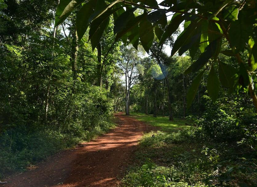 Pemandangan luar Foto