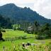 Pemandangan luar