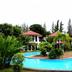 Kolam