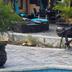 Kolam