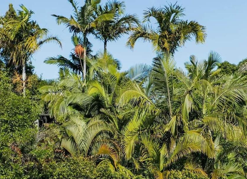 Pemandangan luar Foto