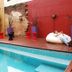 Kolam