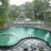 Kolam