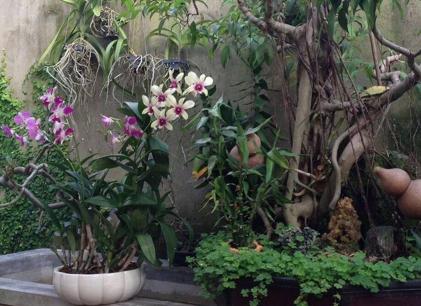 Pemandangan luar Foto