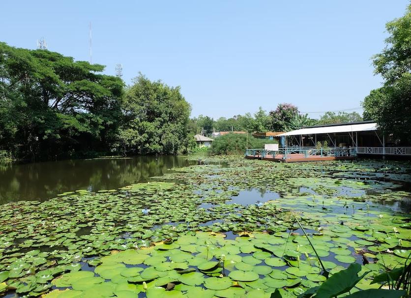 Pemandangan luar Foto