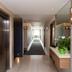 Lorong