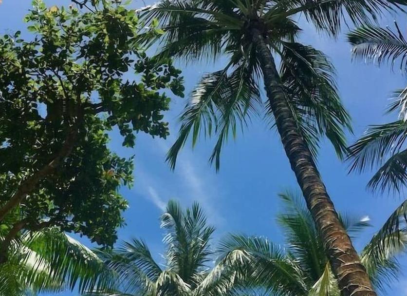 Pemandangan luar Foto
