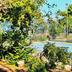 Pemandangan luar
