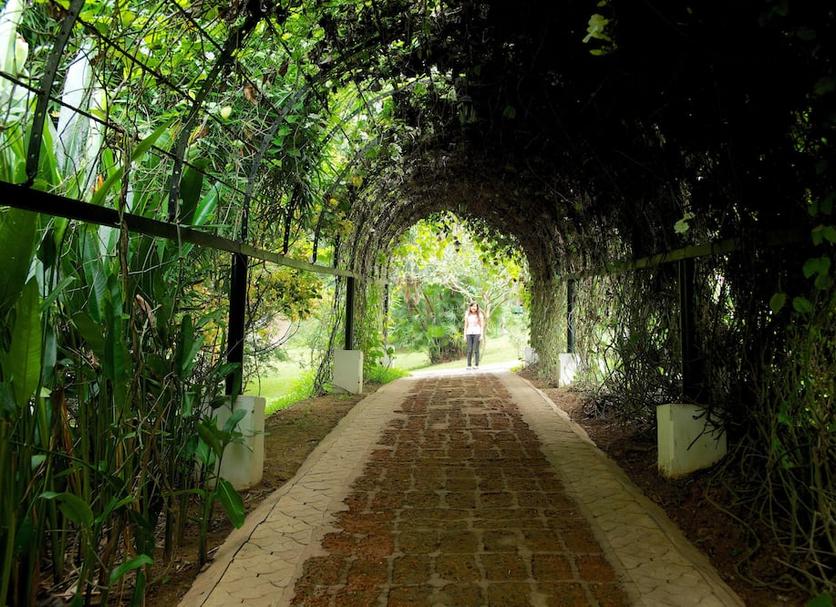 Pemandangan luar Foto
