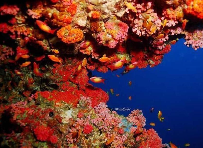 Pemandangan luar Foto