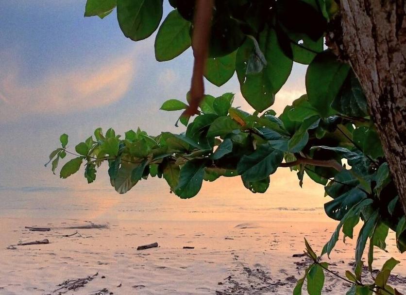 Pemandangan luar Foto