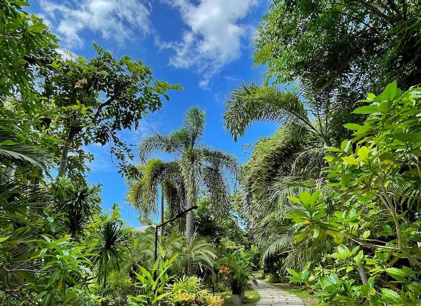 Pemandangan luar Foto
