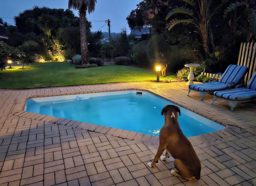 Kolam Foto