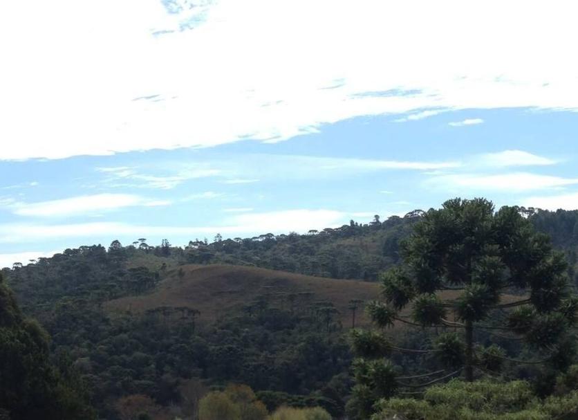 Pemandangan luar Foto
