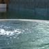 Kolam