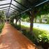 Kolam