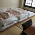 Kamar Tidur