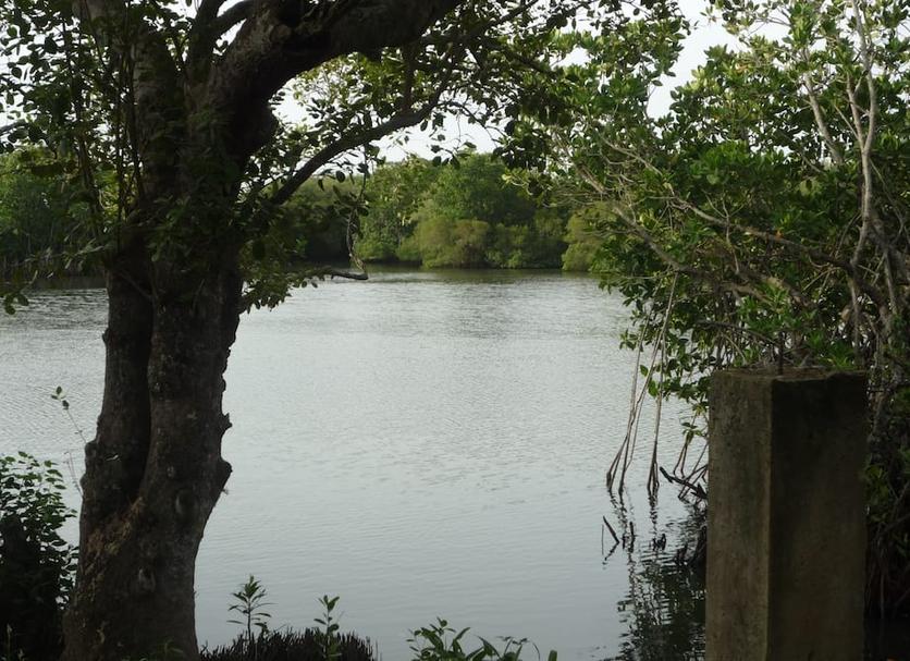Pemandangan luar Foto