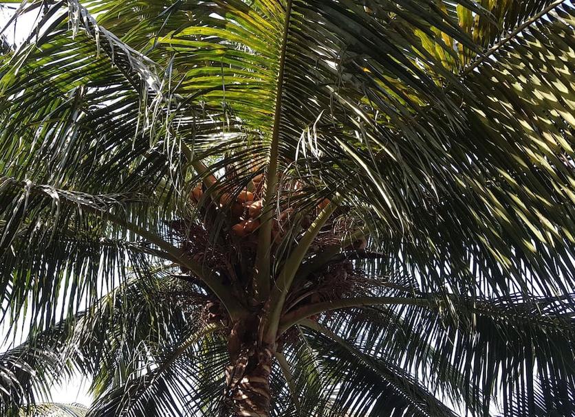Pemandangan luar Foto