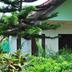 Pemandangan luar