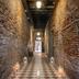 Lorong