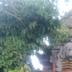Pemandangan luar