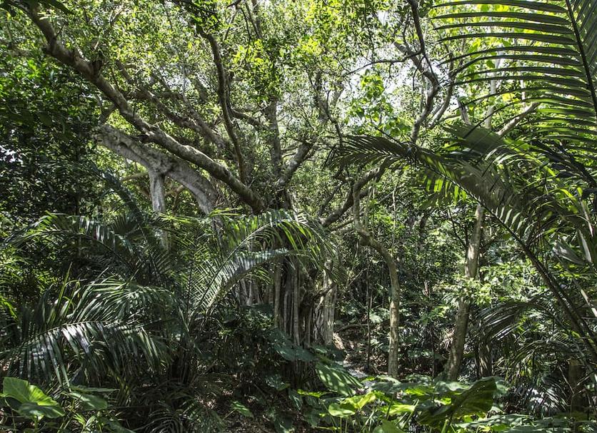 Pemandangan luar Foto