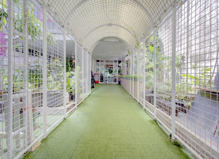 Lorong Foto