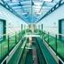 Lorong