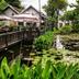 Pemandangan luar