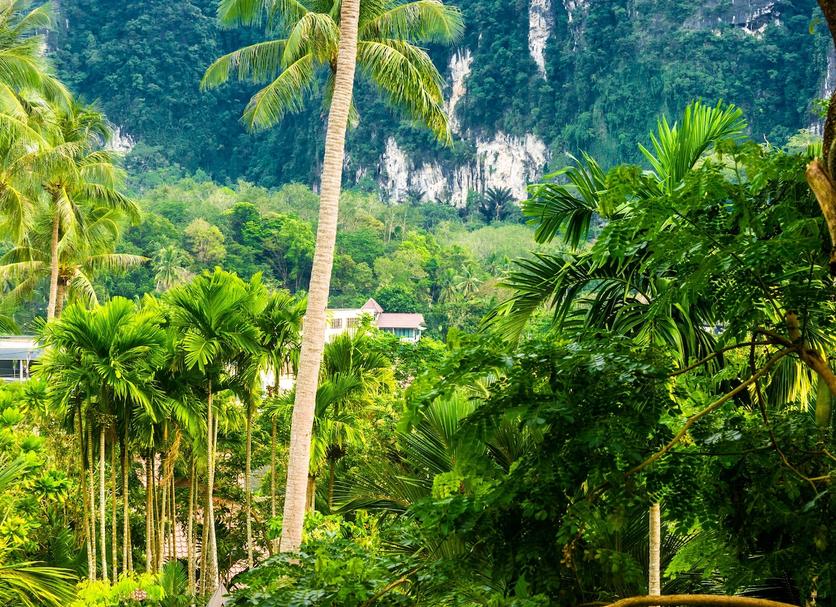 Pemandangan luar Foto