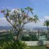 Lainnya