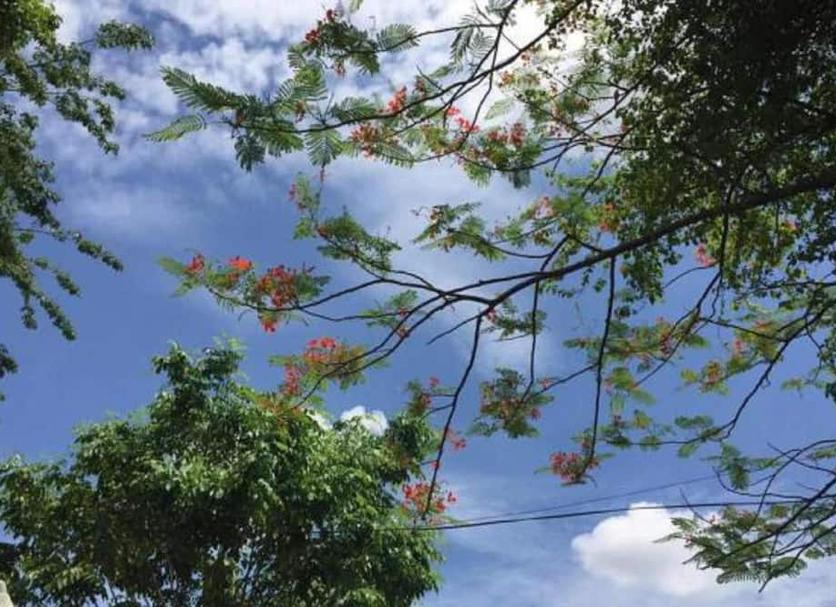 Pemandangan luar Foto