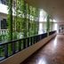 Lorong