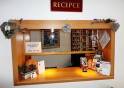 Hotel Jizera Karlovy Vary - Carlsbad - Front desk