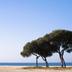 Pantai