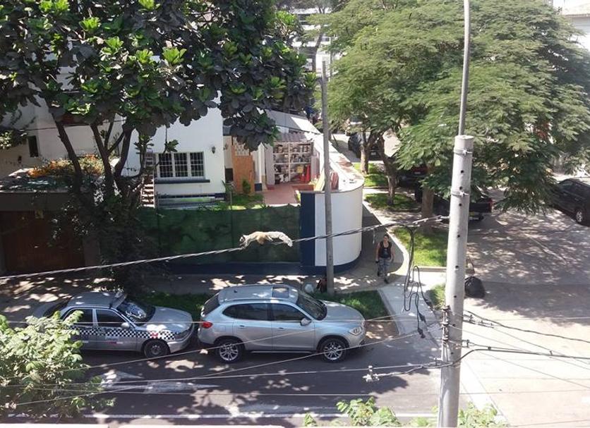 Pemandangan luar Foto