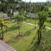 Pemandangan luar