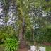 Pemandangan luar